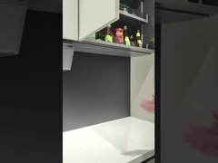 เครื่องวางอาหารครัวที่ขยายได้ เครื่องจัดกระเป๋าสตางค์เครื่องใช้เงิน